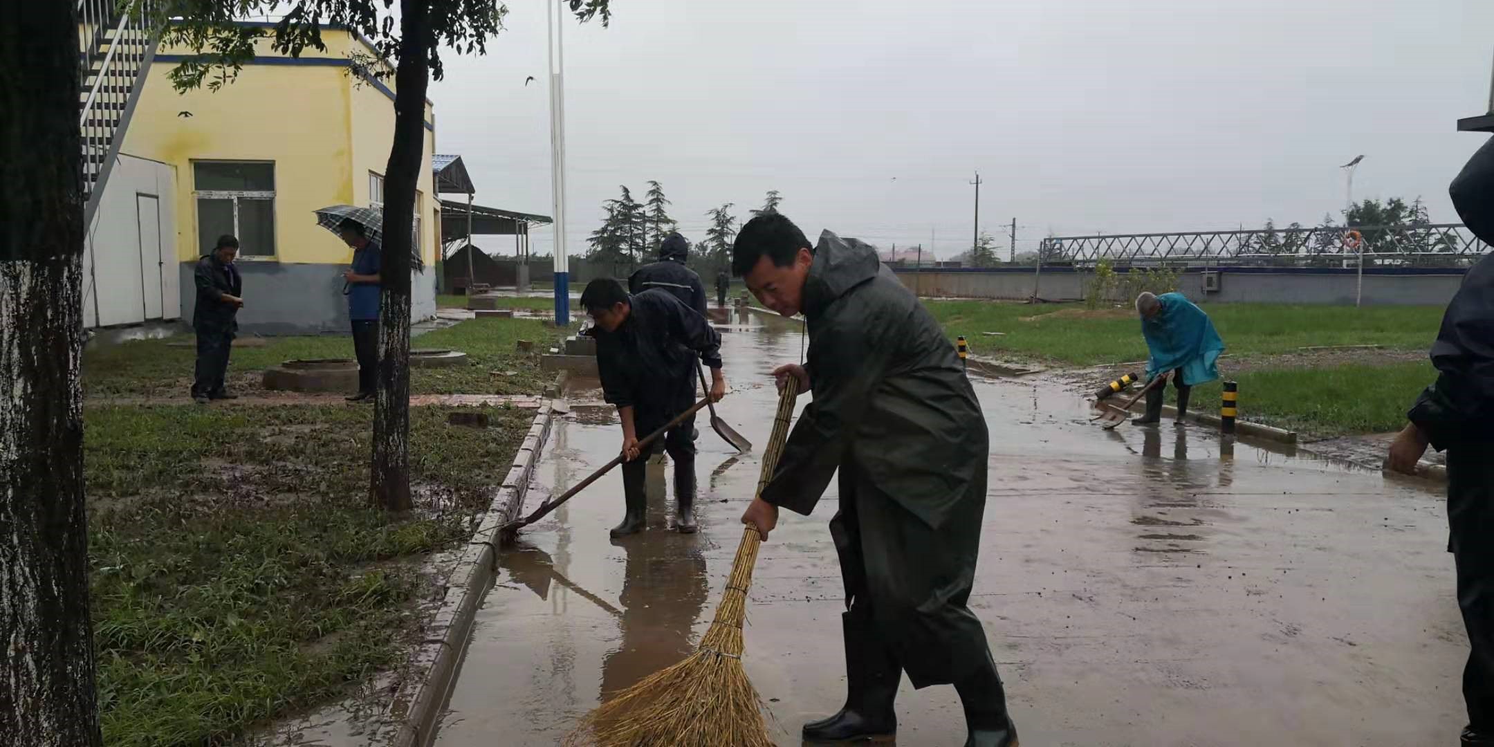 1565941937647589.jpg 1565941937647589.jpg