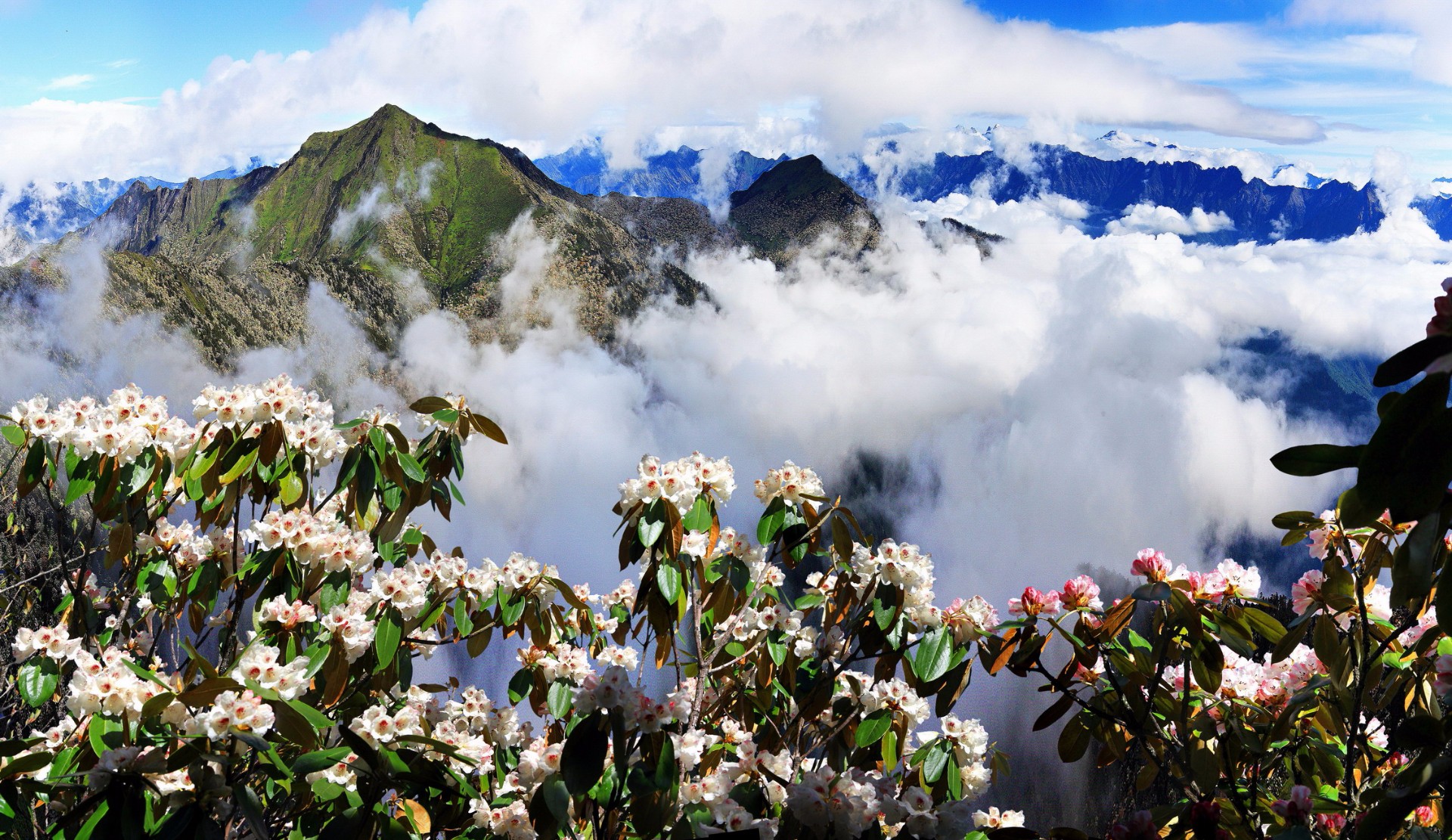 1592203596513306.jpg 1592203596513306.jpg