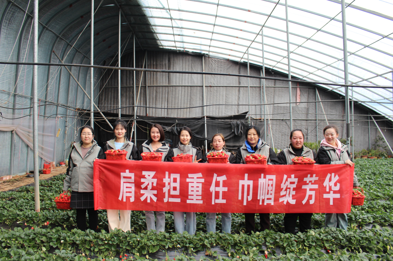 1743649384253069.png 6eecfff341c9abee6d7431badf6446b8.png